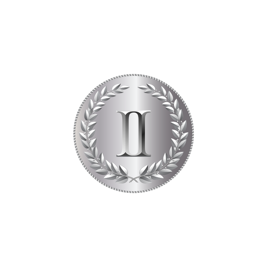 Silver Package